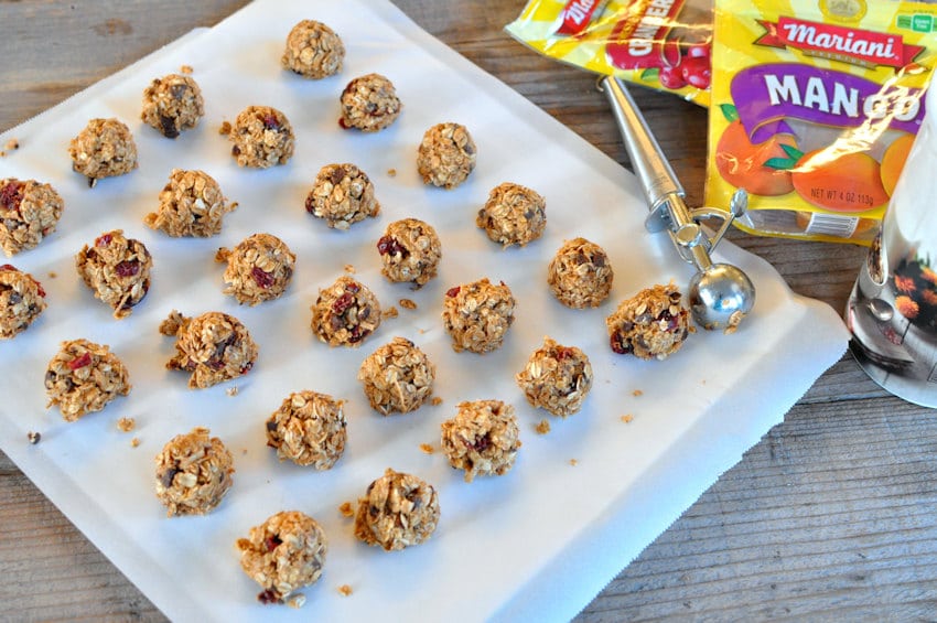 Mango Cranberry Peanut Butter Bites 2 850