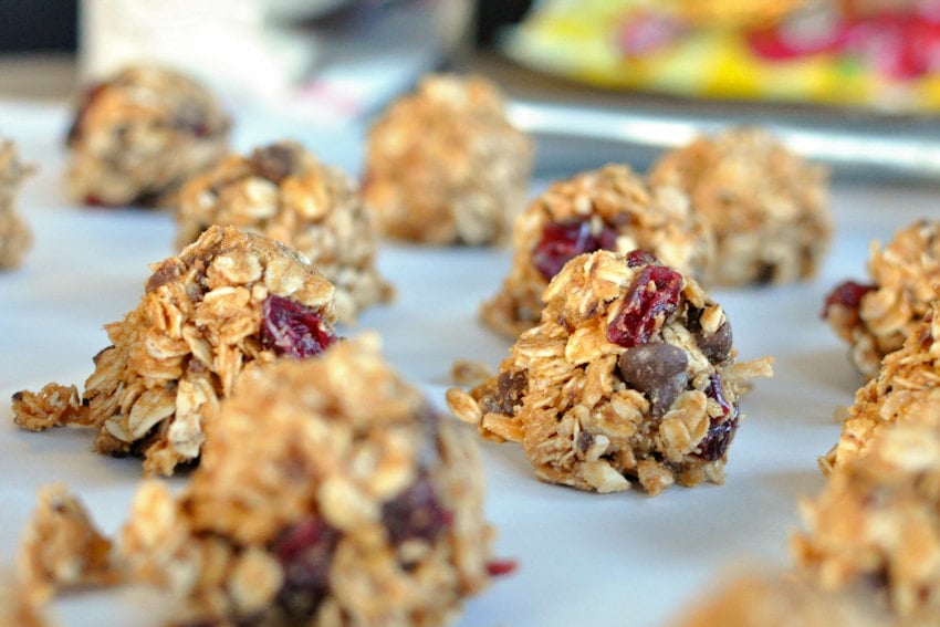 Mango Cranberry Peanut Butter Bites 3 850