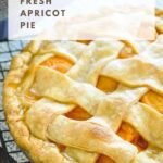 close up photo of homemade apricot pie for pinterest