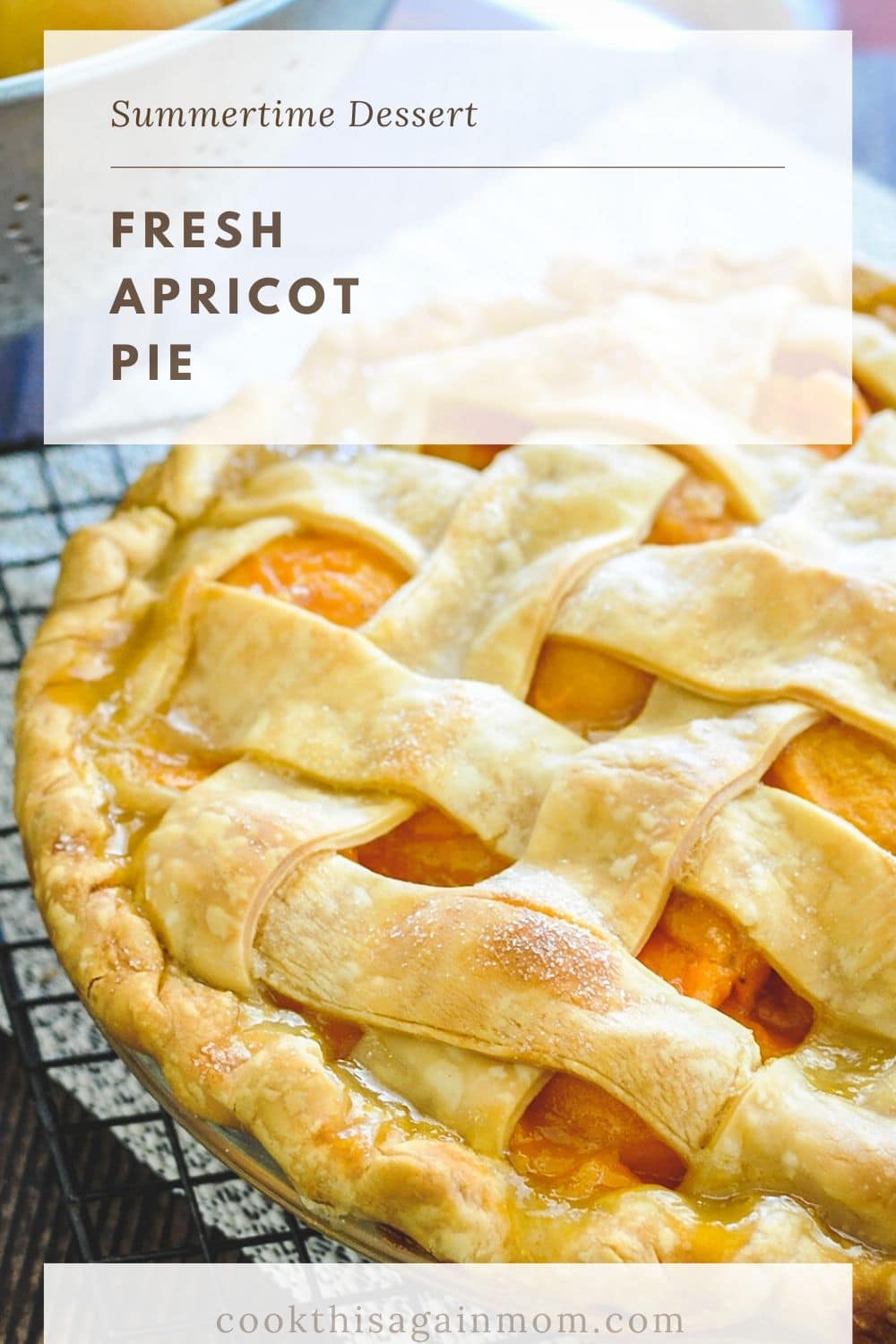 close up photo of homemade apricot pie for pinterest