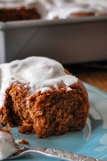 a chocolate cinnamon roll sitting on a blue plate