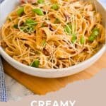 A bowl of Creamy Sun-Dried Tomato Pasta made with cream cheese, topped with grated cheese and fresh basil.