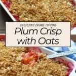 A baked plum oatmeal crisp with oats in a white dish, topped with a golden crumb topping and served with a spoon—an irresistible plum dessert perfect for showcasing your favorite plum recipes.