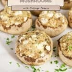 Easy Stuffed Mushrooms with a creamy cottage cheese filling, garnished with fresh parsley and beautifully arranged on a white surface.