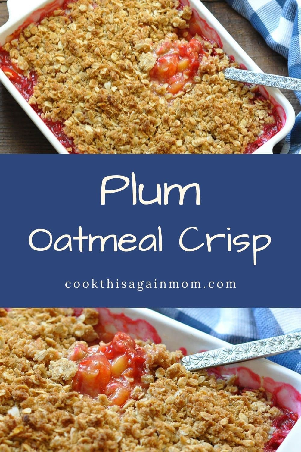 Plum Oatmeal Crisp Cook This Again Mom