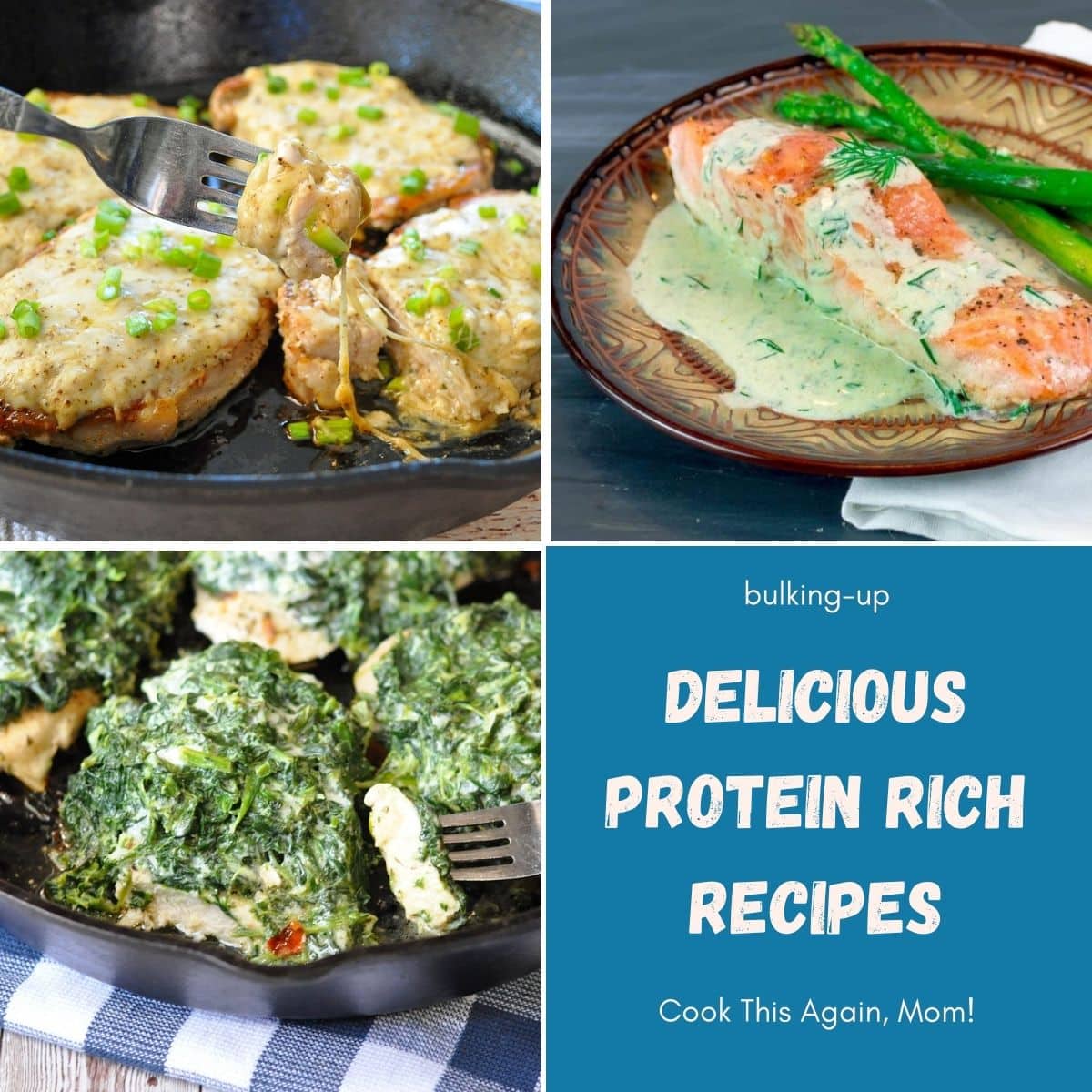 protein rich recipes round-up collage.