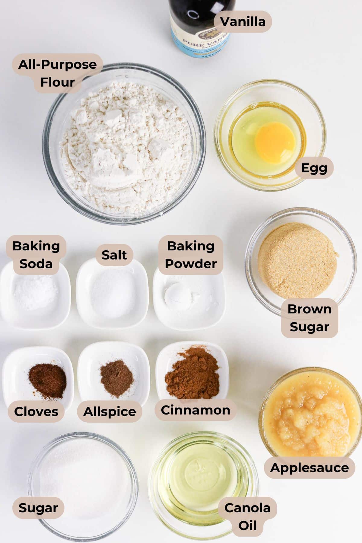Bowls of flour, vanilla, egg, sugars, applesauce, oil, spices, baking soda, baking powder, and salt on a table.