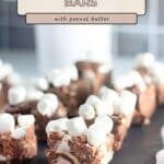 Squares of Rocky Road Bars topped with marshmallows, arranged neatly on a tray with a blurred plant in the background.