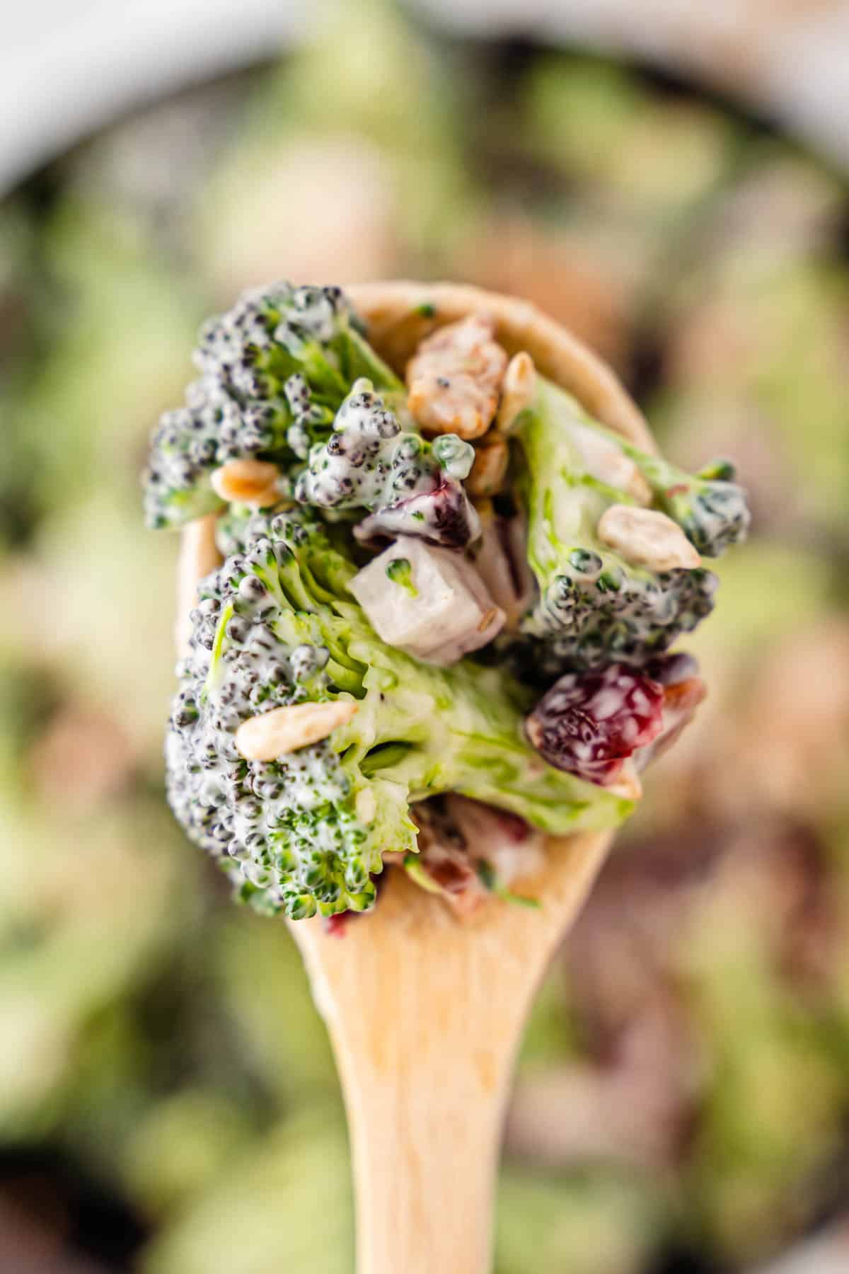 A close up of broccoli salad on a wooden spoon. 