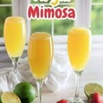 Virgin Mimosa Pinterest graphic.
