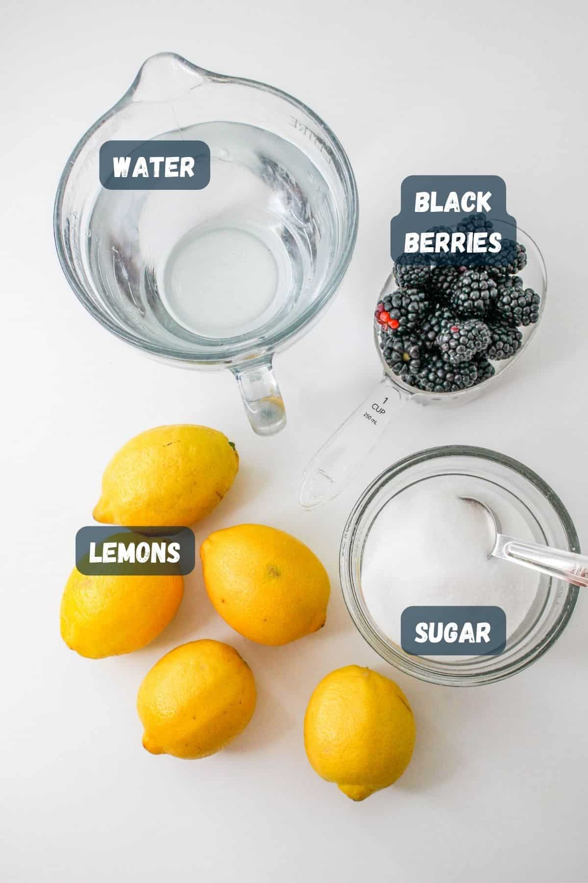 Ingredients needed to make blackberry lemonade. 