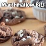 Hot cocoa cookies with marshmallow bits Pinterest Graphic.
