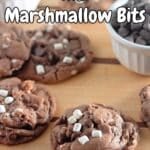 Hot cocoa cookies with marshmallow bits Pinterest graphic.