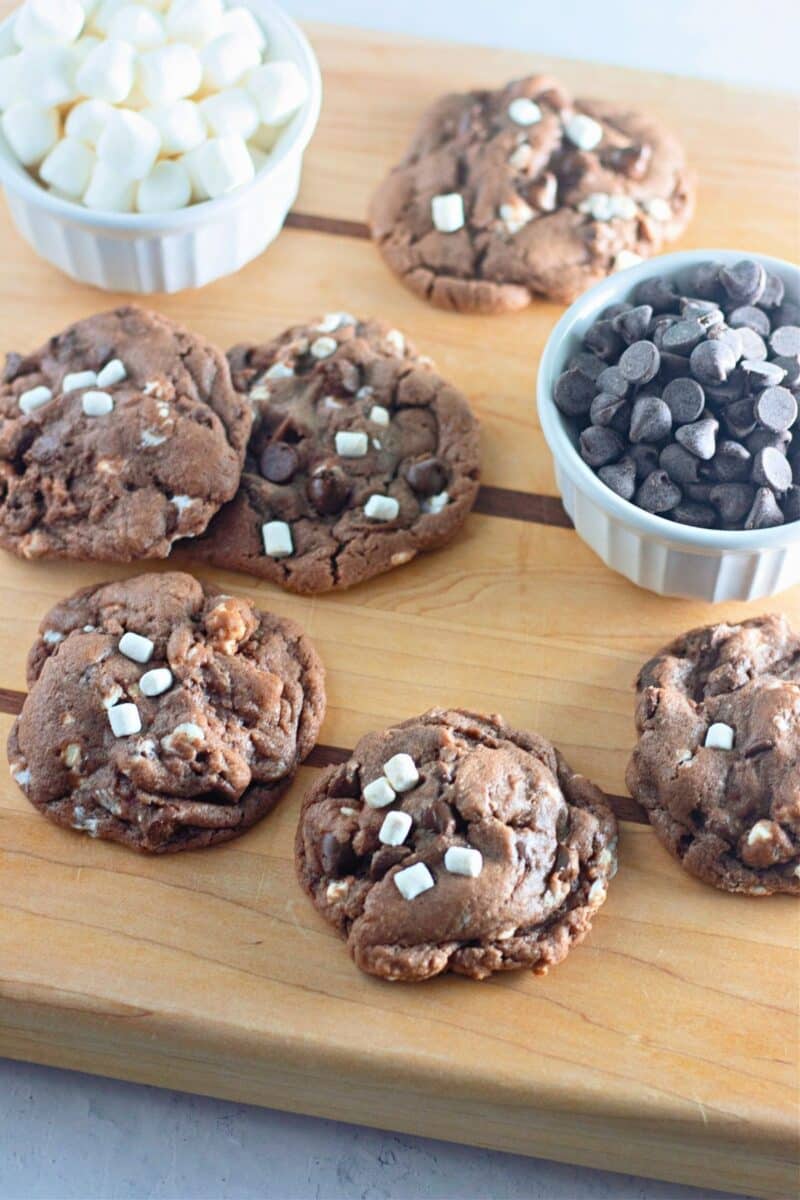 Hot Cocoa Cookies With Marshmallow Bits Cook This Again Mom   Hot Cocoa Cookies Final Images 2 800x1200 