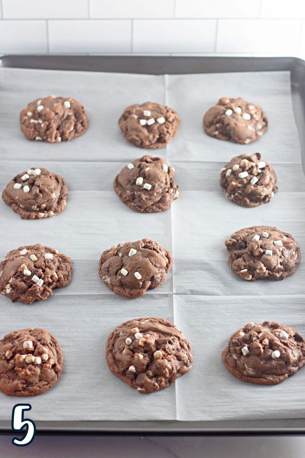 Chocolate cookies on a baking sheet.