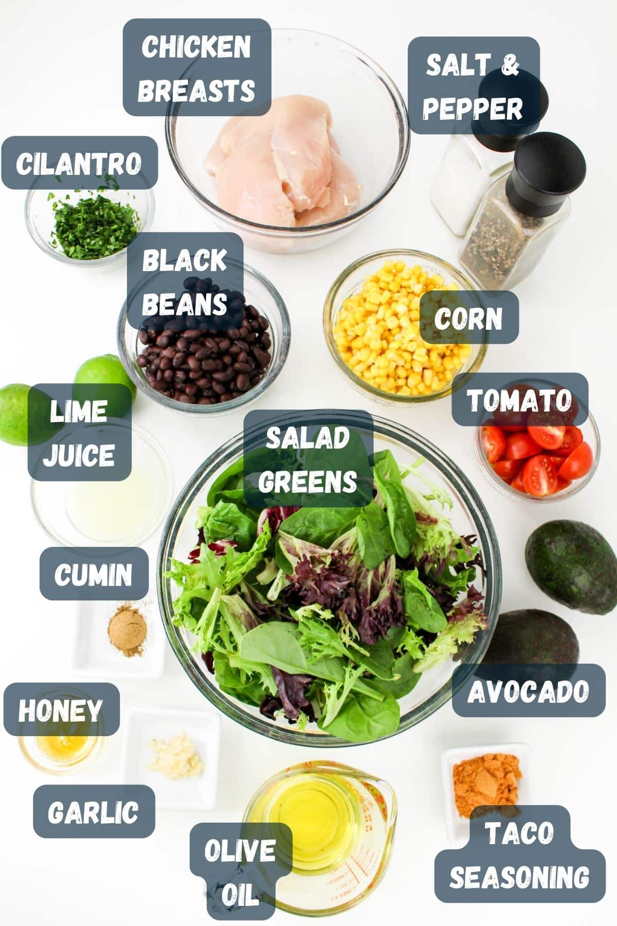 Ingredients for a salad including chicken breasts, cilantro, black beans, corn, salad greens, avocado, and seasonings.