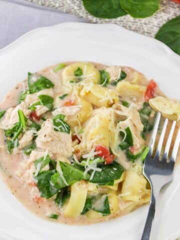 A creamy chicken and spinach tortellini dish on a white plate with a fork holding a piece of tortellini.