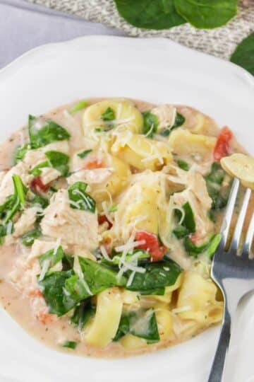 A creamy chicken and spinach tortellini dish on a white plate with a fork holding a piece of tortellini.