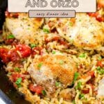 Baked chicken and orzo come together with tomatoes and fresh herbs in this simple skillet meal, making it an easy dinner idea that's both flavorful and satisfying.
