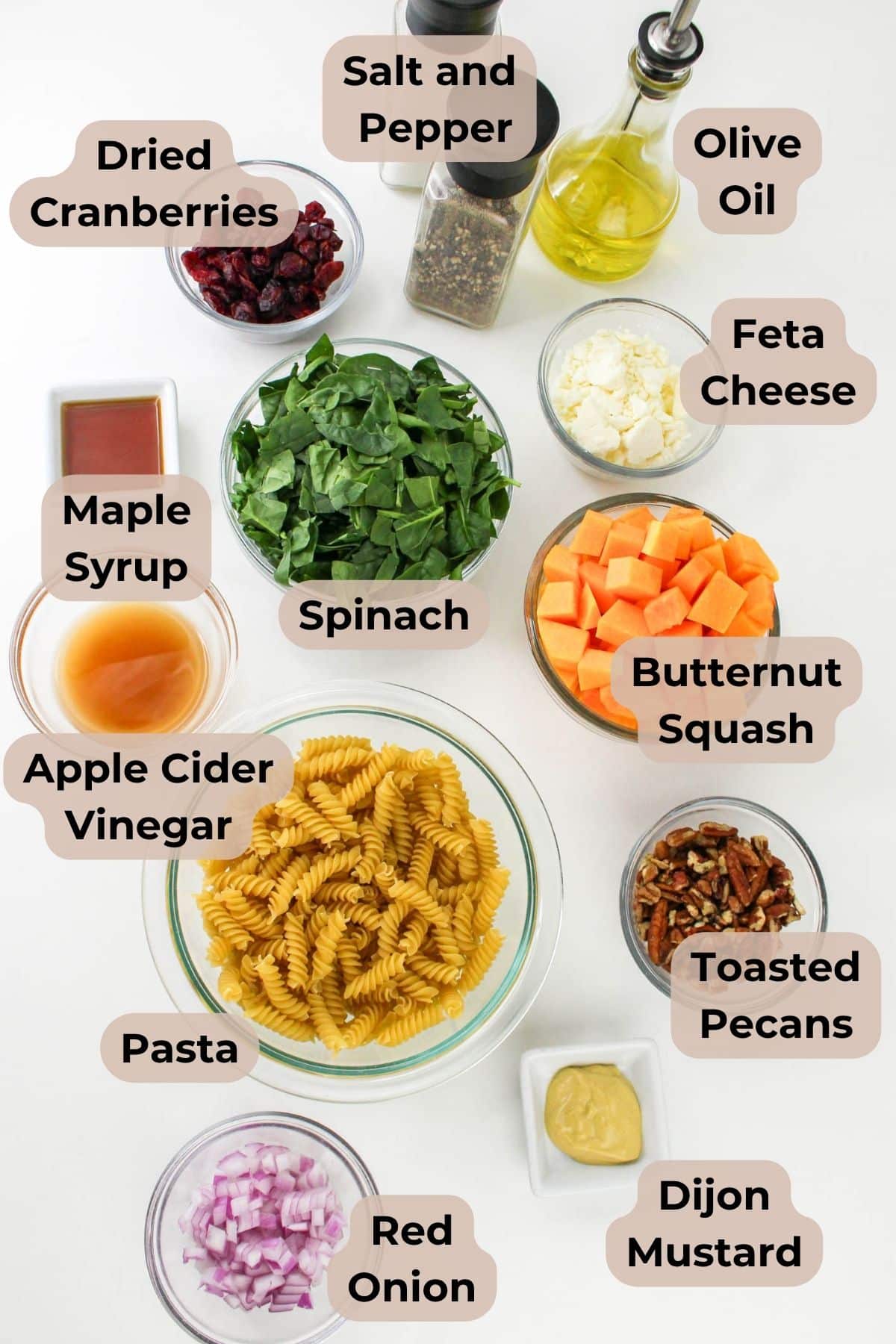 Top view of labeled Butternut Squash Pasta Salad ingredients: pasta, spinach, feta, squash, cranberries, onion, pecans, oil, and seasonings.