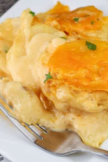 Cheesy scalloped potatoes on a white plate with a fork, garnished with parsley.