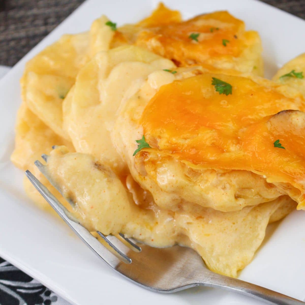 Cheesy scalloped potatoes on a white plate with a fork, garnished with parsley.