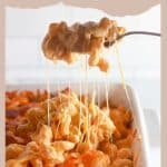 A fork lifts creamy macaroni and cheese from a white baking dish, strings of stretchy melted cheese following each delicious bite.