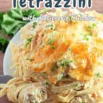 Close-up of easy chicken tetrazzini on a plate with a parsley garnish, text overlaying the image.