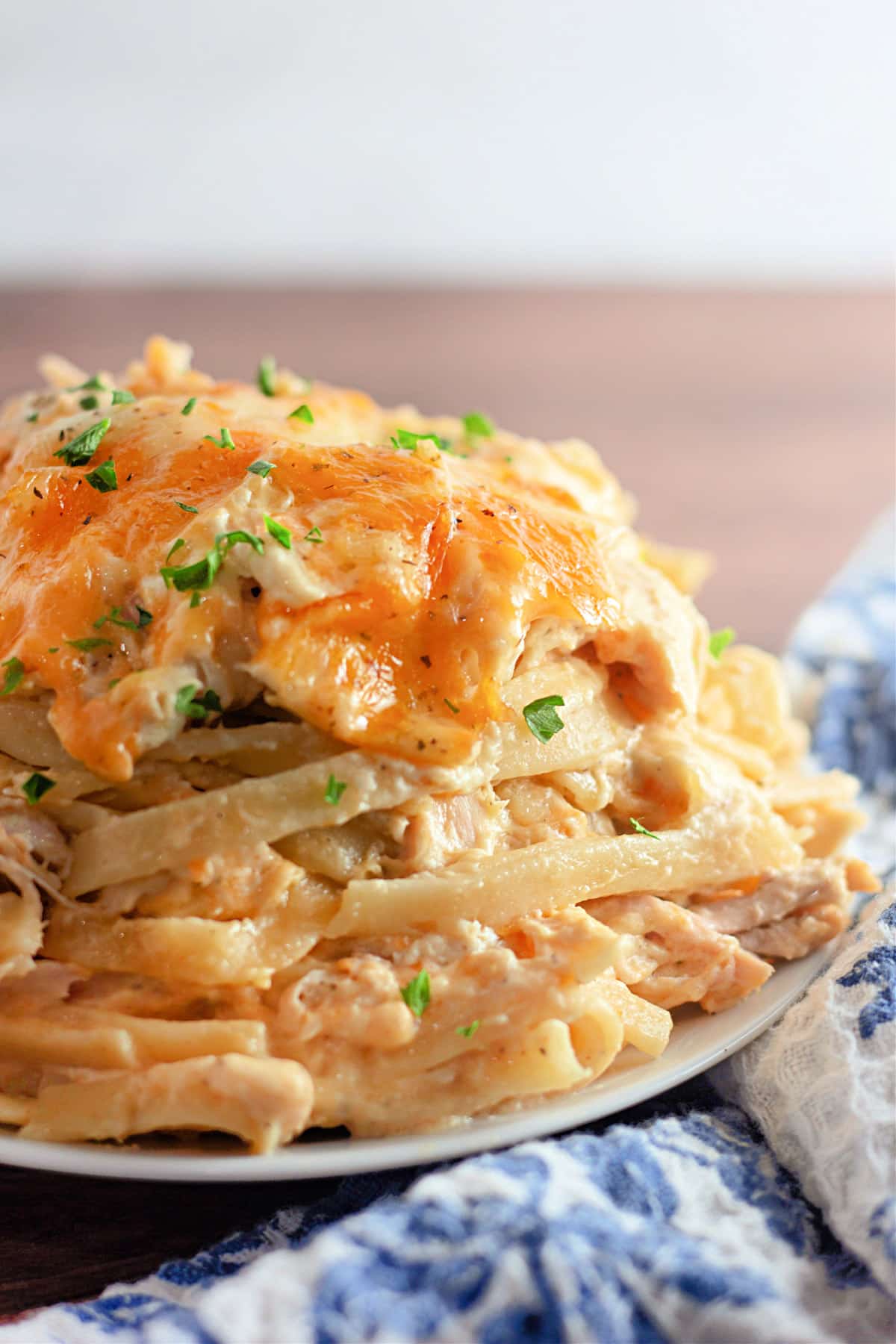 Cheesy chicken tetrazzini on a white plate, garnished with chopped herbs.