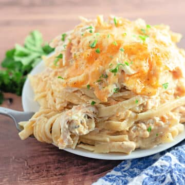 A plate of creamy chicken spaghetti topped with melted cheese and parsley, with a fork and parsley garnish nearby.