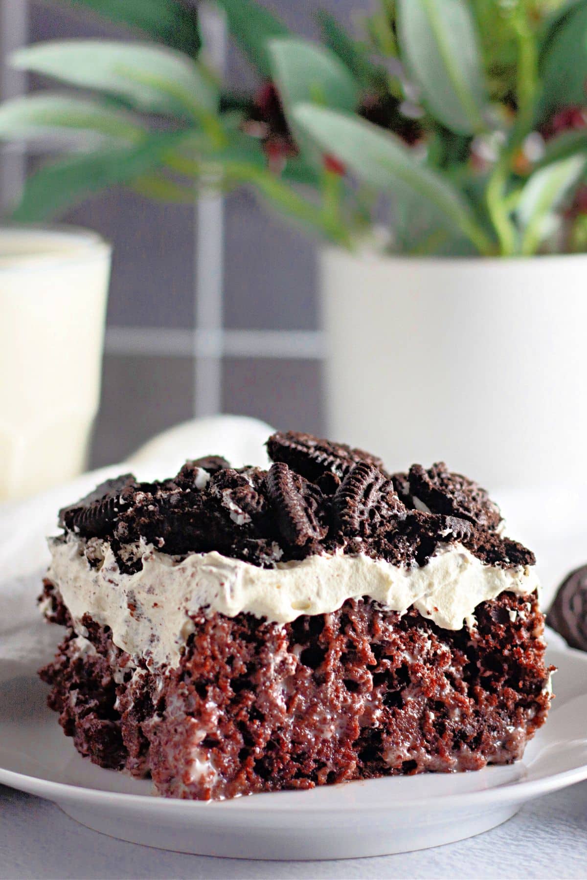 A slice of chocolate cake topped with whipped cream and crushed cookies on a white plate.