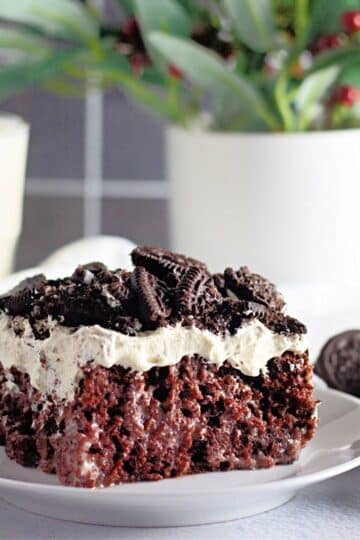 A slice of chocolate cake with cream and crushed cookies on a plate, with a glass of milk and plants behind.