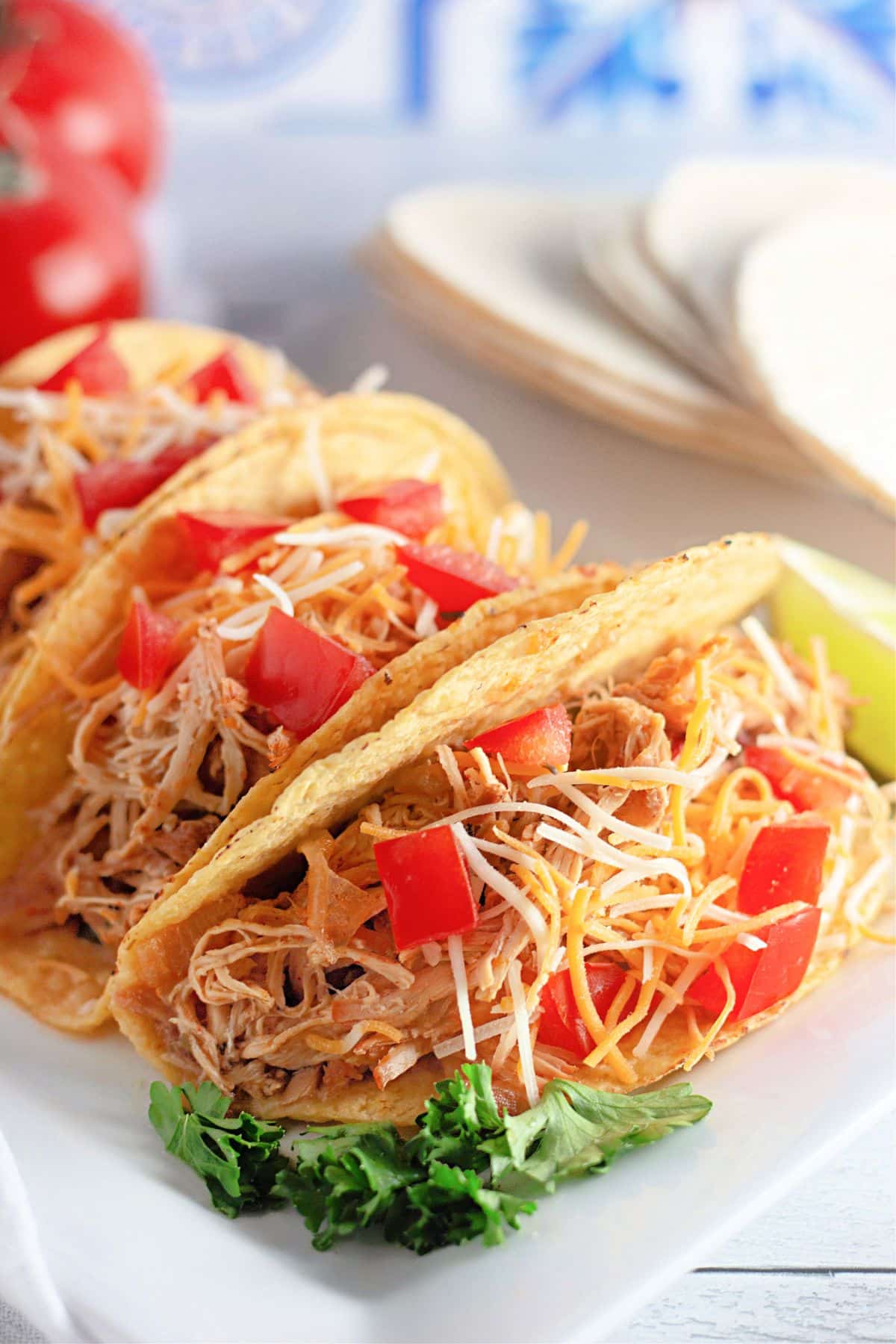 Three chicken tacos with shredded cheese and diced tomatoes on a white plate, with tortillas and herbs nearby.