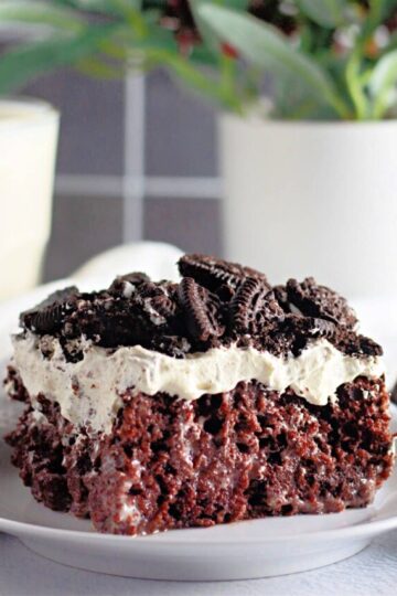 A slice of chocolate cake topped with whipped cream and crushed cookies on a white plate.