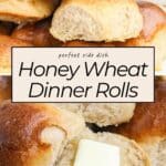 Warm Honey Wheat Dinner Rolls, one split open with melting butter, showcase their soft, golden texture. Text overlay describes this irresistible recipe.