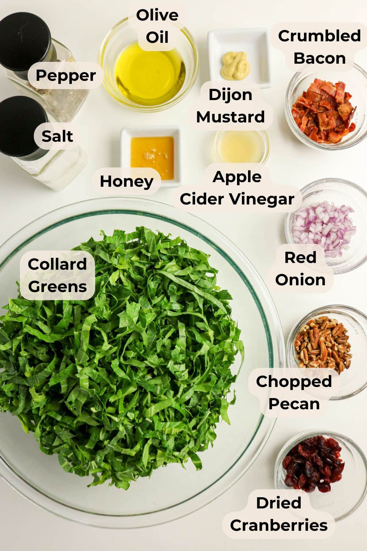 Chopped collard greens in a bowl with labeled ingredients: oil, seasonings, bacon, onion, pecans, and cranberries.