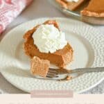 Slice of pumpkin pie with whipped cream on a plate, fork, and pie in background; text reads "Pumpkin Pie.
