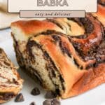 Chocolate babka loaf on a white plate with chocolate chips, showing swirled chocolate filling.