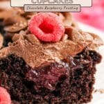 Close-up of Chocolate Raspberry Cupcakes with rich chocolate frosting, raspberry filling, and a fresh raspberry on top.