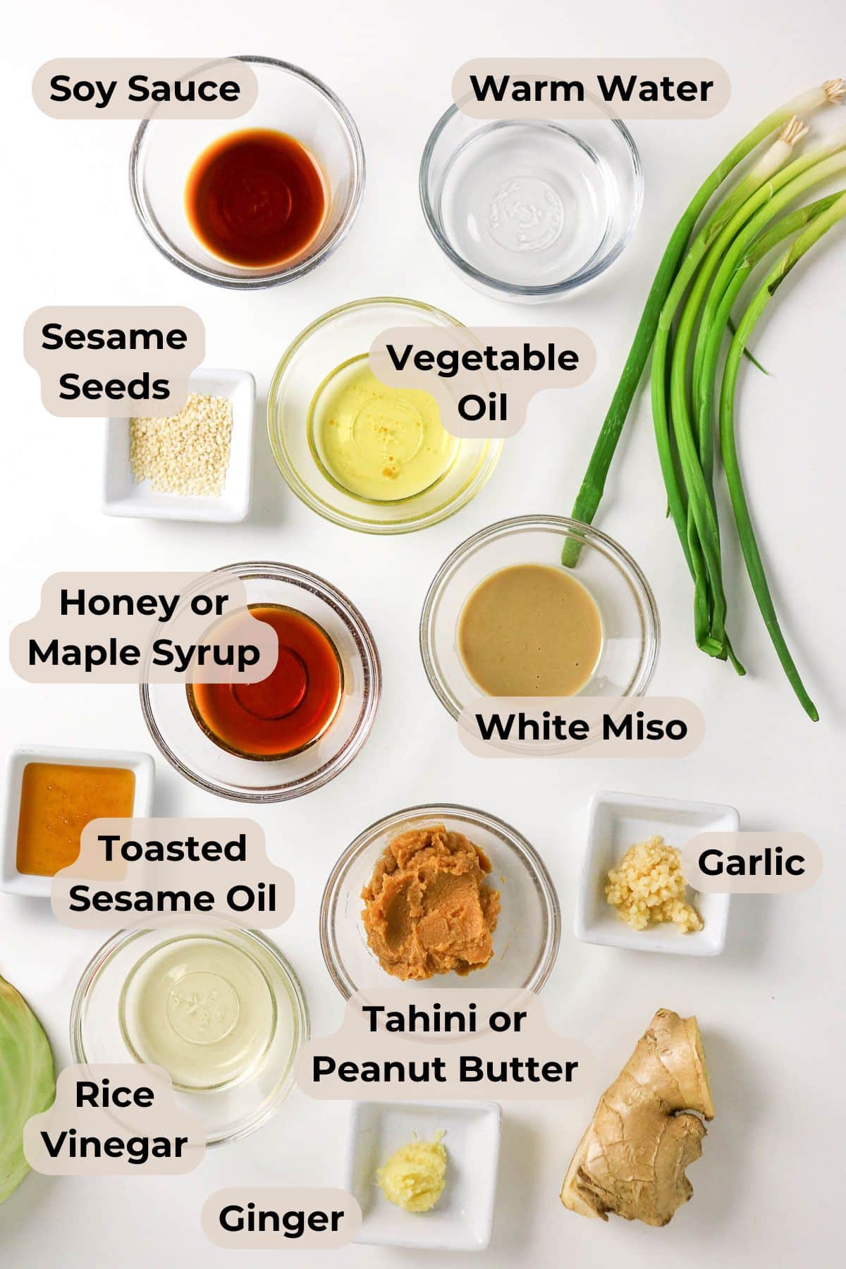 Top view of labeled ingredients for an Asian-inspired sauce, including miso, soy sauce, oils, ginger, and green onions.